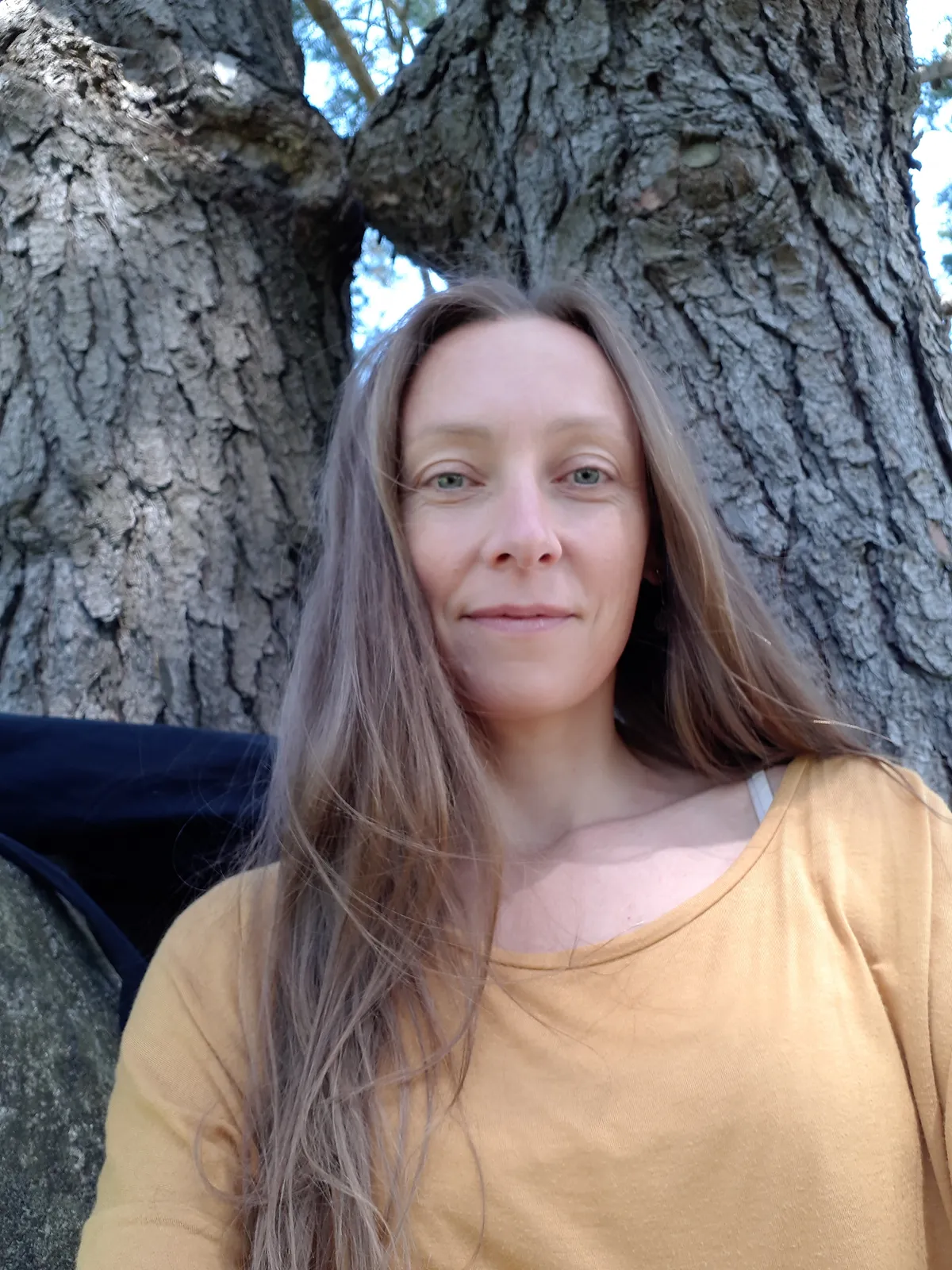 STAGE D'ÉTÉ en forêt de Brocéliande yoga nantes 3